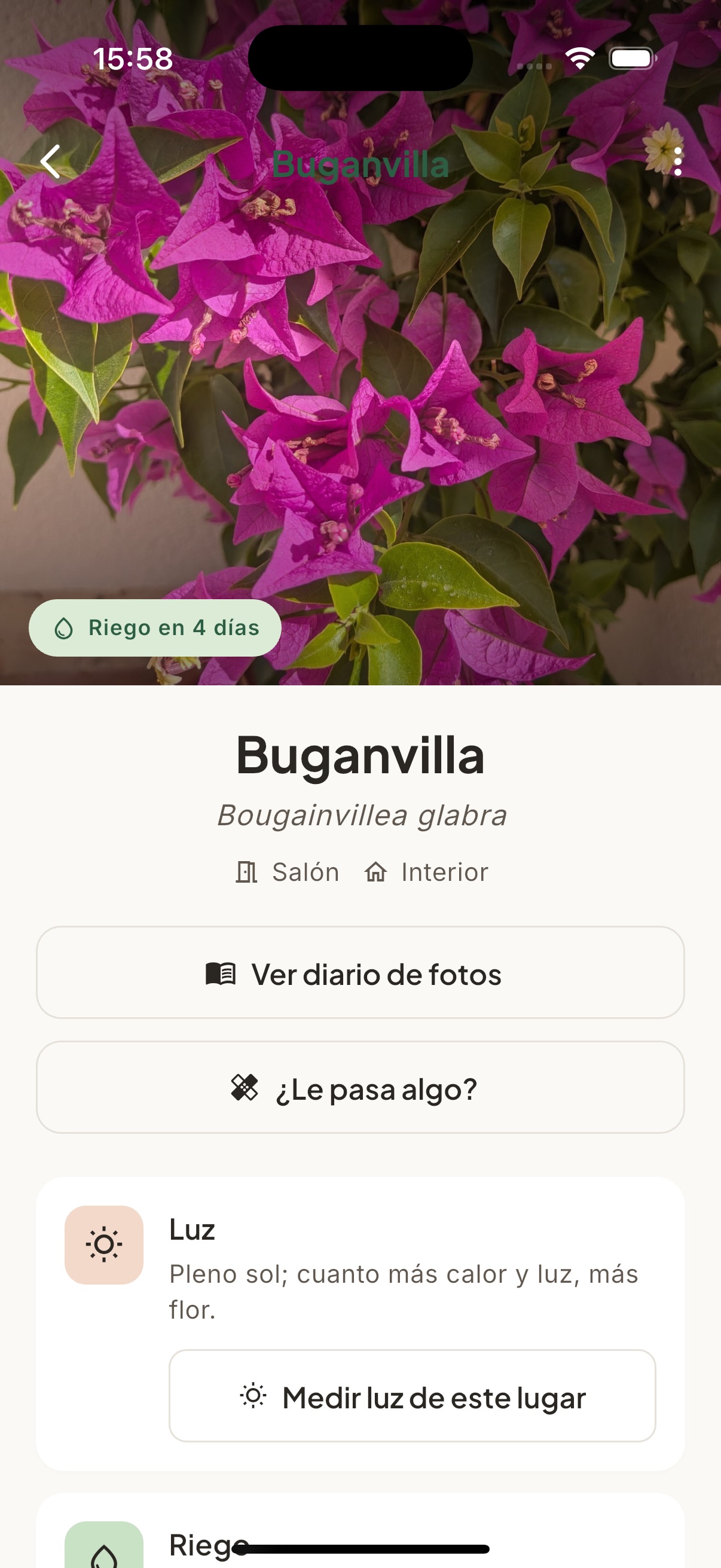 Ficha de planta: cuidados, riego y diario de fotos